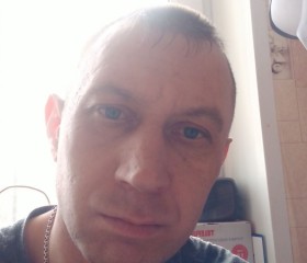 Дима, 41 год, Ярославль