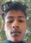 Rohit Thakur, 18 лет, Padrauna