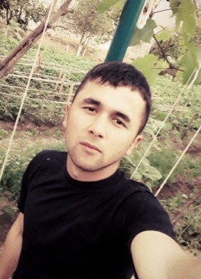 Anton, 29, Россия, Переславль-Залесский