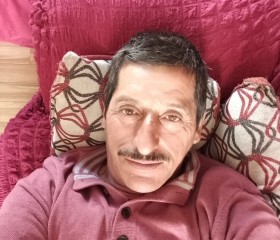Javier dominguez, 51 год, Puerto Varas