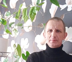 Андрей, 50 лет, Череповец