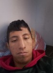Julio manuel, 26 лет, Gomez Palacio