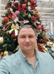 Дмитрий, 43 года, Сосновый Бор