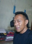 Denbagol, 49 лет, Djakarta