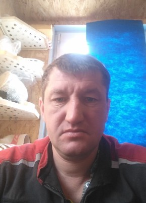 Andrey, 42, Russia, Tolyatti