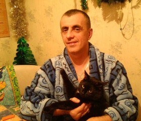 Вадим, 46 лет, Ивантеевка (Московская обл.)