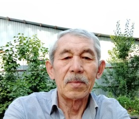 Михаил, 66 лет, Алматы