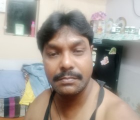 Sanjay Kumar, 39 лет, Delhi