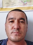 Ален, 43 года, Алматы