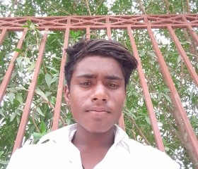 Ravindra, 18 лет, Jodhpur (State of Rājasthān)