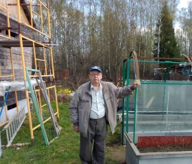 вячеслав, 80 лет, Москва