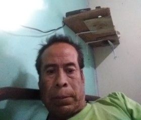 Gregorio Mendez, 56 лет, Tianguismanalco