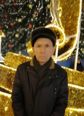 СЕЙФЕТДИН, 72, Россия, Волоколамск