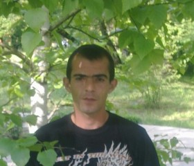 Рустам, 41 год, Красногвардейское (Ставрополь)