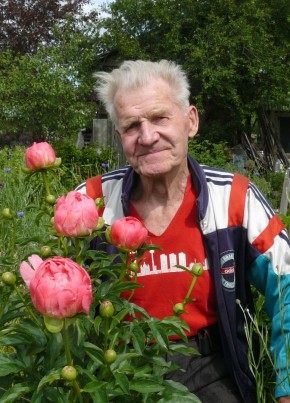 Сергей, 81, Россия, Ивангород