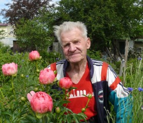 Сергей, 81 год, Ивангород