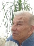 vasilek, 75 лет, Санкт-Петербург