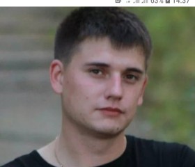 serega, 36 лет, Киселевск