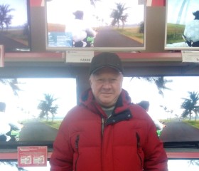 Владимир, 68 лет, Кольчугино