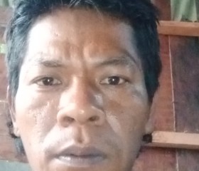 Paimin, 34, Nabire
