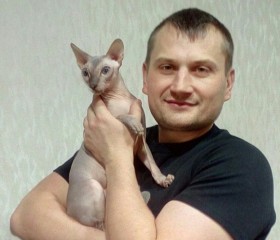 Дмитрий, 42 года, Омск