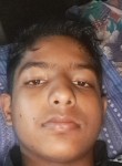 Himanshu chauras, 18 лет, Beldānga