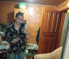 Vladimir, 20, Engels