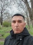 Ром - Волгоград