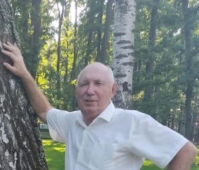 Владимир, 72 года, Орёл