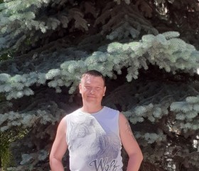 александр, 40 лет, Иваново