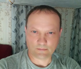 Сергей, 48 лет, Мамонтово