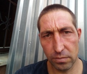 Антон Смирнов, 37 лет, Бор