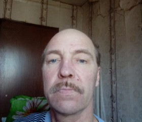 Олег, 55 лет, Артем