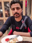 Maher Faisal, 27 лет, سیالکوٹ