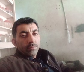 Shahid, 24 года, حیدرآباد، سندھ