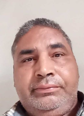 محمود, 45, Egypt, Zifta