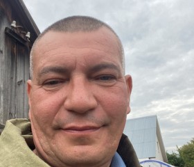 Роман, 48 лет, Владимир