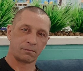 OLE, 43 года, Архангельск