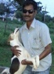 Pushpak, 46 лет, Hyderabad