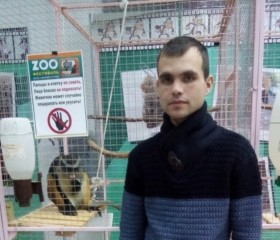 Zhenya, 36, Saint Petersburg