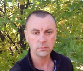 Илья Ратин, 47 лет, Нижний Тагил