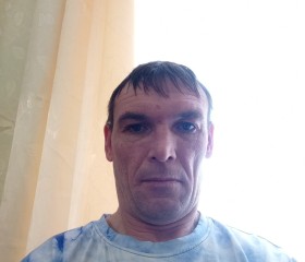 Николай, 41 год, Сосьва