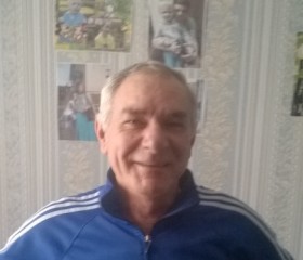 Пётр Добрук, 66 лет, Горад Ваўкавыск