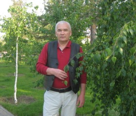 Вячеслав, 68 лет, Қостанай