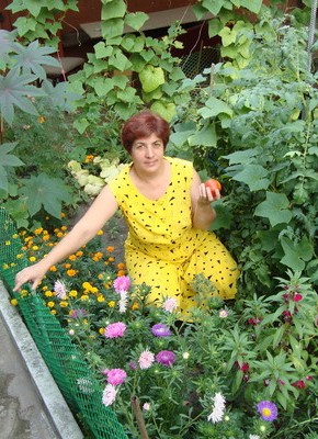 zinaida, 60, Россия, Белгород