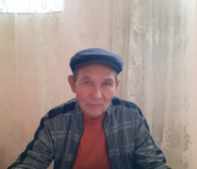 Болат Султанов, 64 года, Алматы