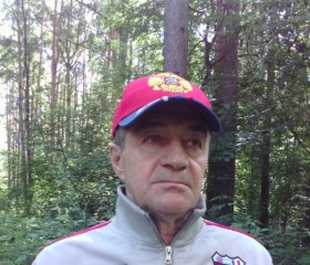 Борис, 74 года, Кострома