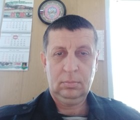 Алексей Стрюк, 47 лет, Кущёвская