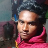 d1b393881c77
