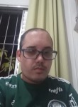 Ricardo Novais, 41 год, São Paulo capital